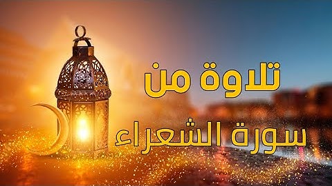 تلاوة من سورة الشعراء/القارئ #اسلام_صبحي🤍