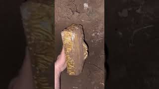 I can't believe my eyes. I found pirate treasure worth millions of dollars
