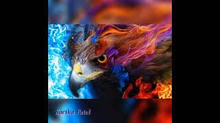 Bird Machine Bgm Ringtone Loud 🔊 Ringtone screenshot 5