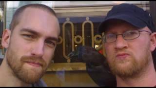 Schwedischer Journalist wiegelt Antifa gegen Alternativjournalisten auf
