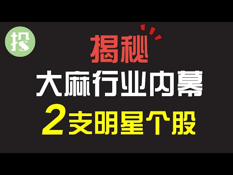 不了解这些内幕，千万别碰大麻股！两支明星大麻股，该不该买？【2021.03.02】