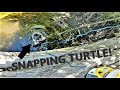 SNAPPING TURTLE Tries To Steal Our Catch! (Ultralight Fishing)