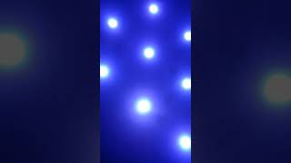 Irmak Arici Yallah Yallak