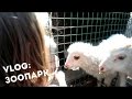 VLOG: Прогулка в Киевский зоопарк с детьми