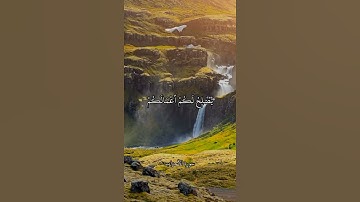سورة الأحزاب - الشيخ علي جابر رحمة الله . #quran #راحة_نفسية