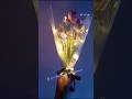 Pretty tulip bouquet #viralshorts #youtubeshorts #love #bouquet #boutique #2025 #diy #craft #art