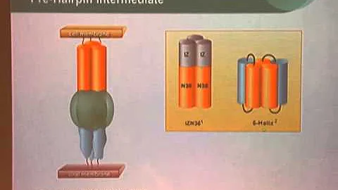 GoldLab Symposium 2013 - Peter S Kim