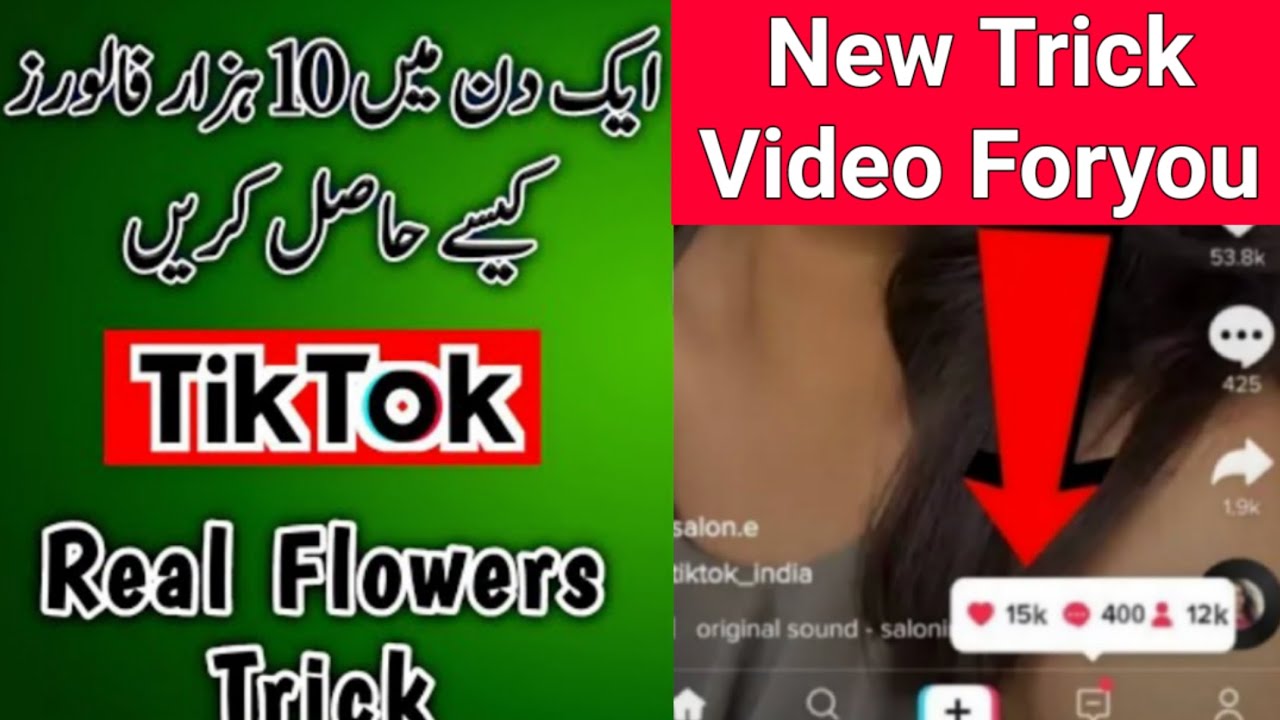 How to increase tiktok followers l How to increase followers on tiktok ...