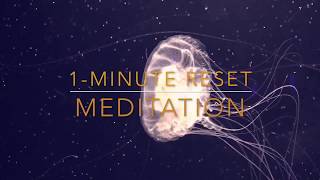 1 Minute Reset Meditation