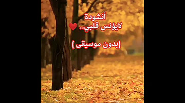 أنشودة لايؤنس قلبي بدون موسيقى 