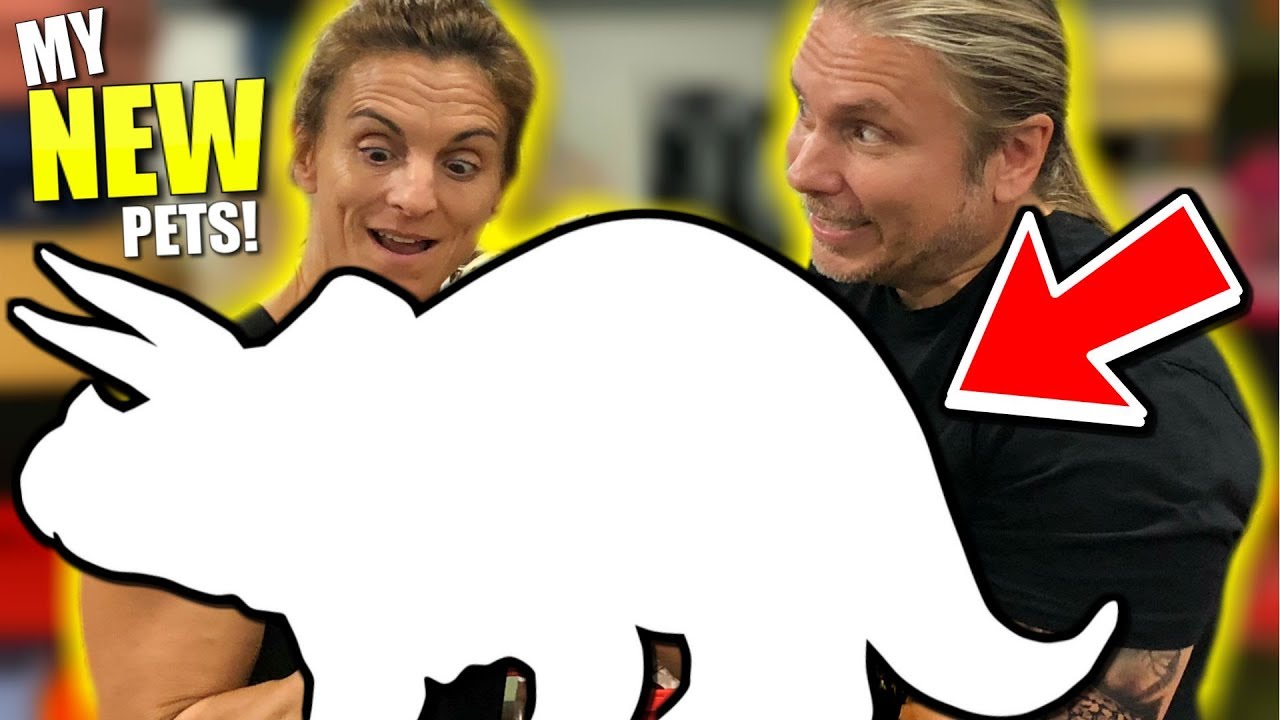 vlogs in spanish SURPRISE!!! NEW ANIMALS FOR THE ZOO AND I FIGHT A KANGAROO!! | BRIAN BARCZYK