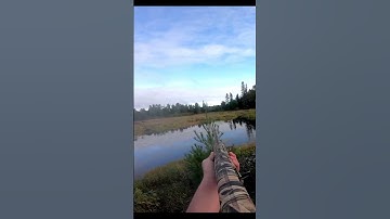 Crushing Wood DUCKS! #shorts