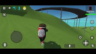 shadow bug 1.7.90