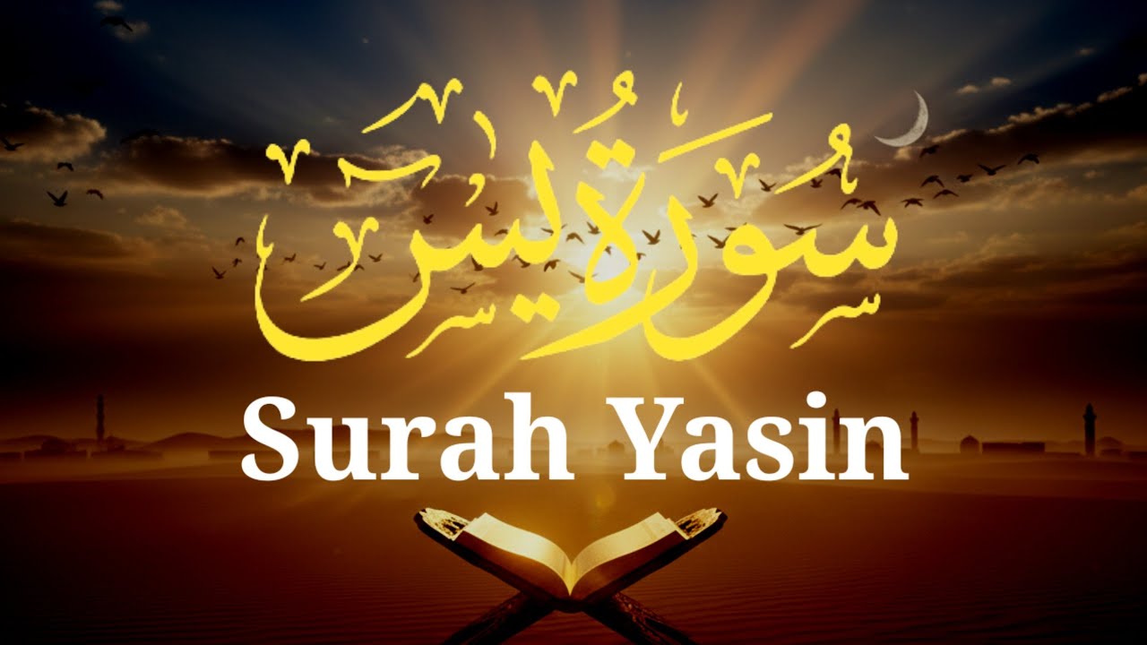 Surah Yasin (Full) | Beautiful Quran Recitation for Peaceful Sleep & Relaxation