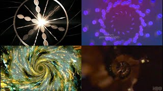 Every Streaming Series Opening Credits are Exactly the Same