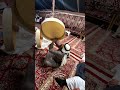 حمام ياللي بالبساتين يلعب طرب والهم ماجاه سامري فرقة الحزم بروضة سدير