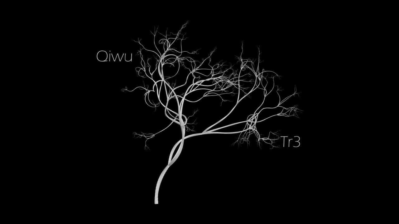 Фото киви кошелька. Qiwu. Кошелек киви. Киви кошелек. Киви кошелек.