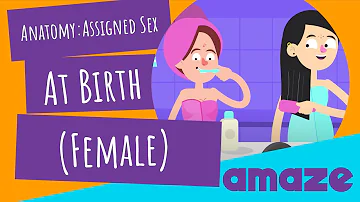 Anatomy: Assigned Sex At Birth (Female)