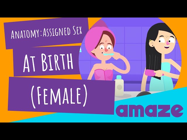 Anatomy: Assigned Sex At Birth (Female) class=