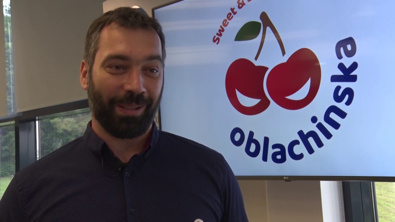 OBLAČINSKA VIŠNJA - ZLATNA sirovina