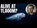How deep the sea is ? truth explained.
