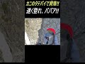 剱岳カニノタテバイ登攀中、落石と登山者滑落!! 衝撃の一部始終は本編 #shorts