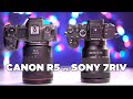 Canon R5 vs. Sony 7RIV | Vergleichstest der Pixelriesen | Test | deutsch