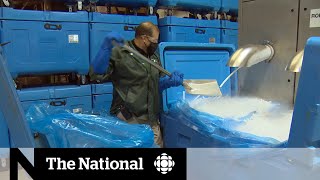 The small players with a big role in the ‘cold chain’ of vaccine delivery
