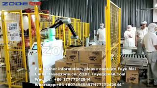 Collaborative Palletizing Workstation-Fixed & lift type