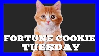 Daily Fortune Cookie! (Tuesday January 17, 2017) Happy Chinese New Year!