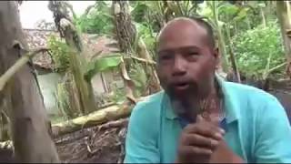 Rumus mencangkok pohon pisang versi PAK NDUL AHLINYA AHLI, INTINYA INTI, CORE OF THE CORE