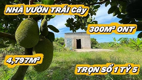nhà vườn trái cây sẵn 300m² thổ cư giá trọn sổ 1 tỷ 5 diện tích 4,797m² 