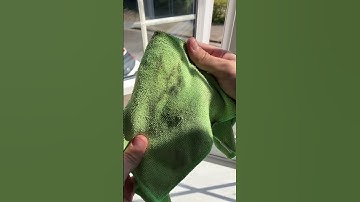 Deep Clean Without Chemicals! #steamcleaner #CleanTok