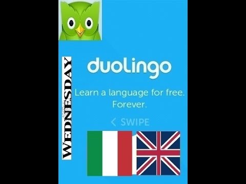 i have a lot of homework in italian duolingo