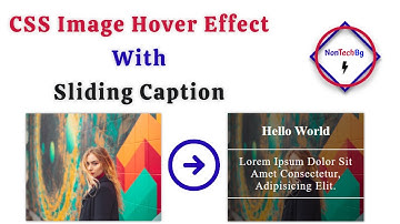 CSS Image Hover Effects Tutorial With Sliding Caption By NonTechBg |