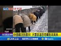 颱風及極端氣候影響