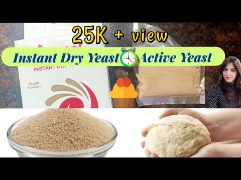 यीस्ट Yeast | What is yeast? Types of Yeast | Instant Dry Yeast vs Active Dry