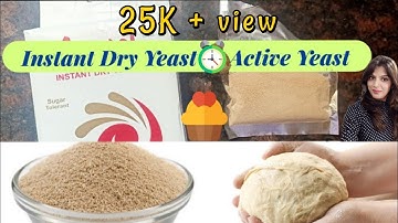 यीस्ट Yeast | What is yeast? Types of Yeast | Instant Dry Yeast vs Active Dry Yeast