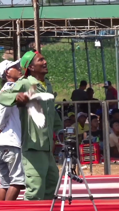 Hansip goes viral after participating in the 1 billion competition #shorts #merpatikolong #merpat...