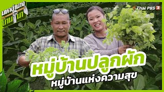 หมู่บ้านปลูกผัก หมู่บ้านแห่งความสุข | มหาอำนาจบ้านนา