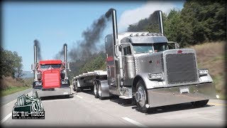 Mays Trucking  Rolling CB Interview™