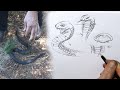 HOW TO DRAW SNAKE BELLY SCALES and snake release. VLOG 7