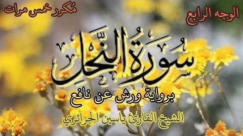 سورة النحل | الوجه الرابع | برواية ورش عن نافع | القارئ الشيخ ياسين الجزائري