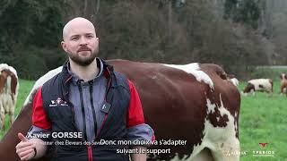 Yperios Le Croisement Performant