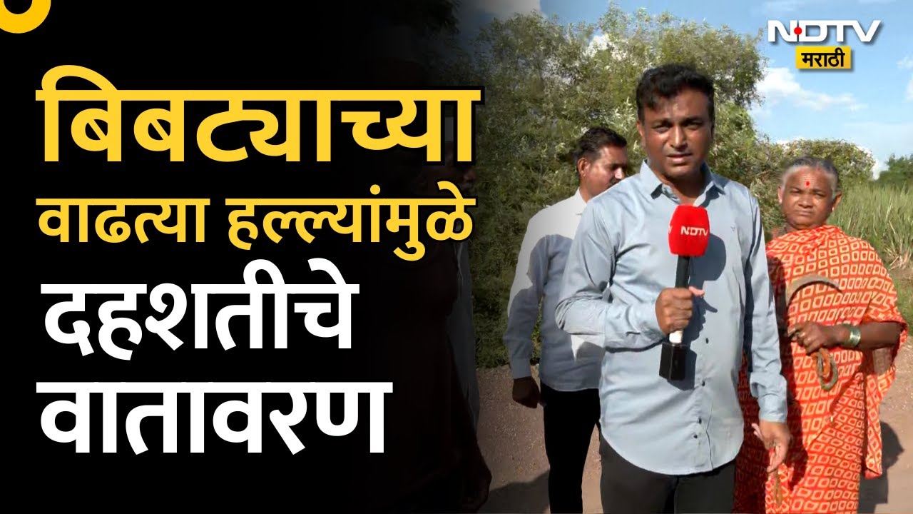 Pune | Manchar | Leopard attack | मंचर परिसरात बिबट्याच्या वाढत्या हल्ल्यांमुळे दहशतीचे वातावरण