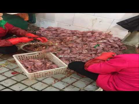 wuhan-shrimp-seller-may-be-coronavirus-'patient-zero'-and-says-bug-'came-from-toilet'