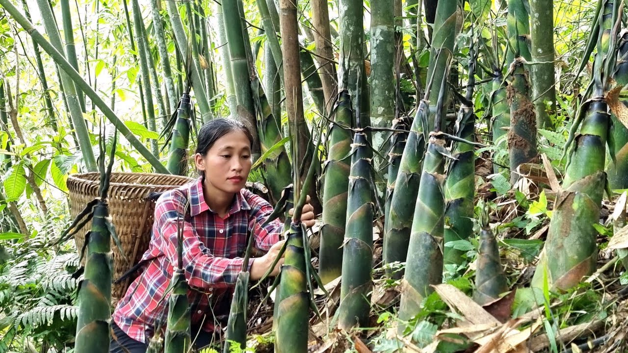 Harvesting Bamboo shoots. cucumbers with my Daughter Goes the market to sell | Triệu Thị Dất