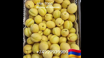 Абрикосы из Армении оптом  в Москве