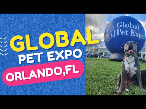 Video: Mikkel Becker 10 produse preferate de câine de la Global Pet Expo