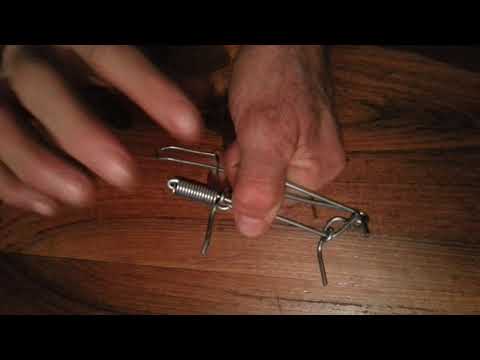 Video: Kako postaviti lako postavljenu zamku za krtice?